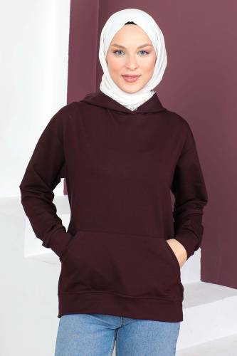 Kapşonlu Kısa Sweatshirt TSD230427 Mürdüm 