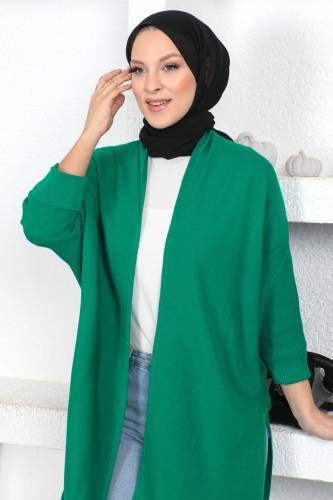 Şal Yaka Triko Hırka TSD230356 Yeşil - Tesettür Dünyası (1)